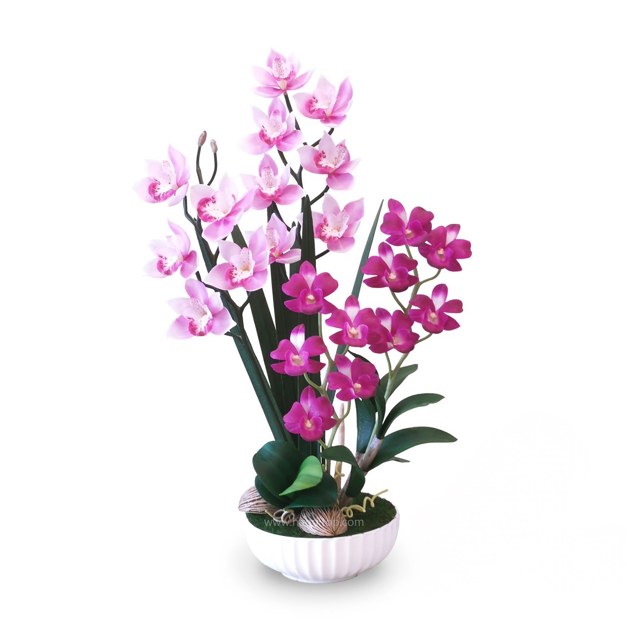 กล้วยไม้หวายสีชมพู (Dendrobium Pink)